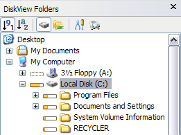 DiskView Folders pane showing relative folder sizes. The folders are sorted by size